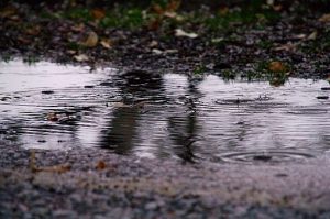 High Angle View Of Raindrops On Puddle